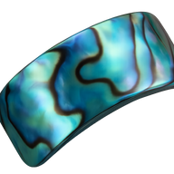Abalone Shell