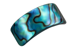 Abalone Shell