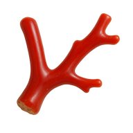 Italian Coral