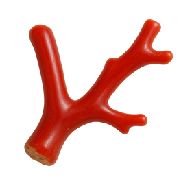 Italian Coral